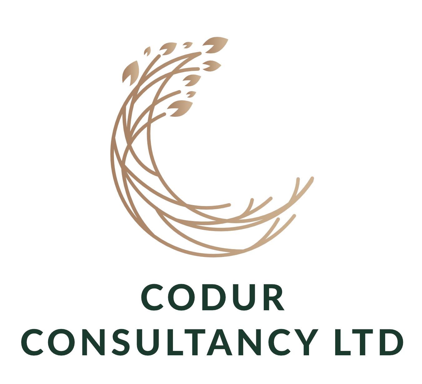 Codur Consultancy Ltd